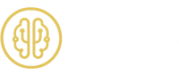 LARA CONSULTING GROUP LLC